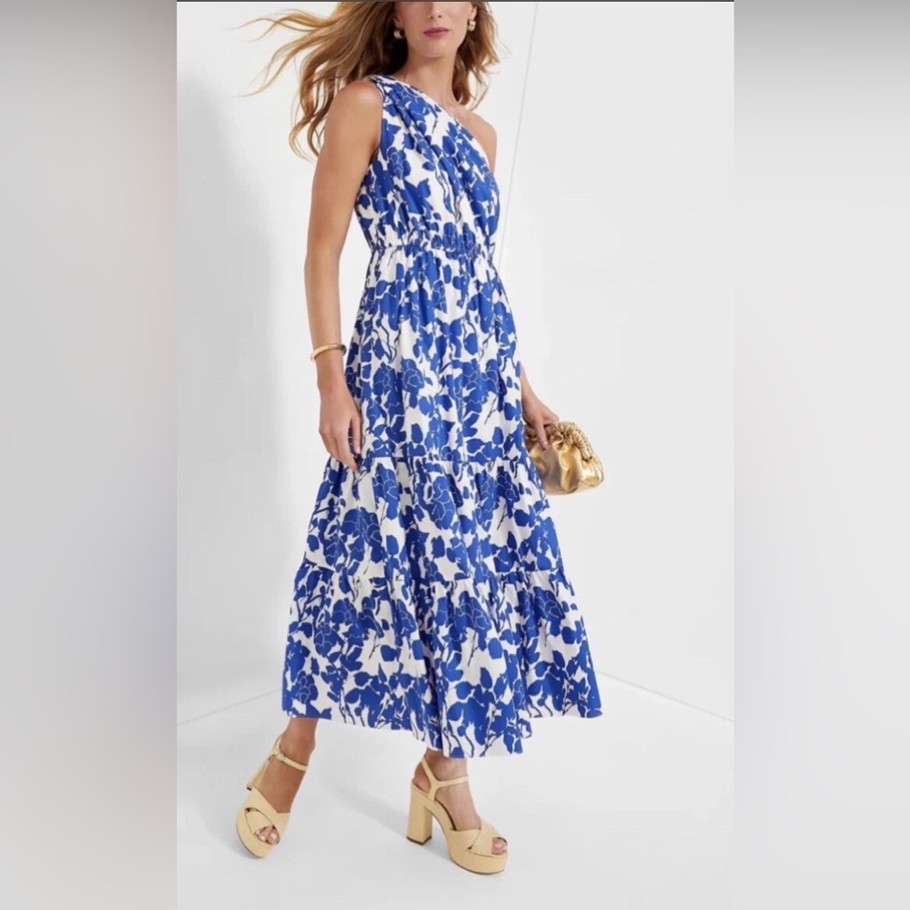 Tuckernuck Hyacinth House Sybil Maxi‎ Dress Blue Floral One Shoulder XXS NEW
